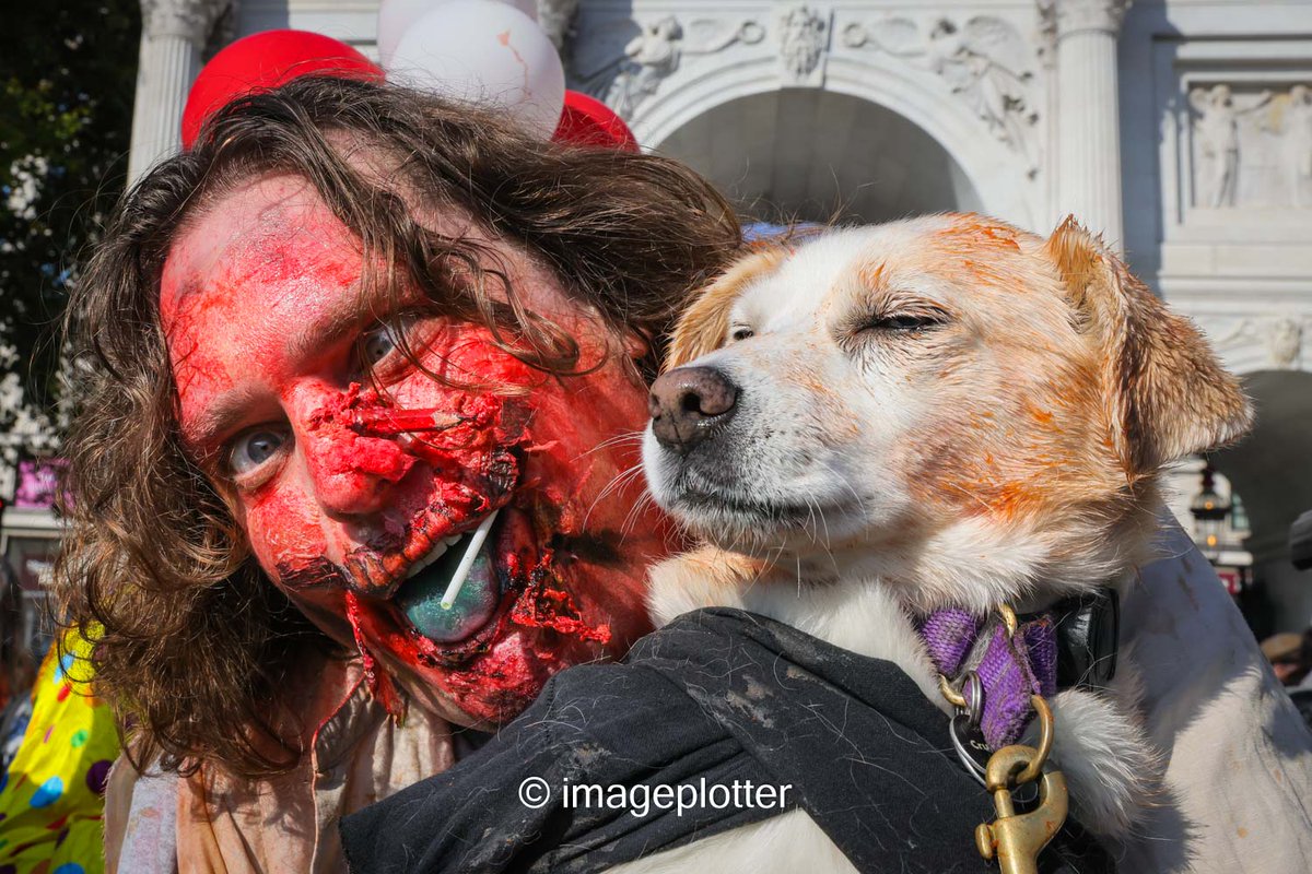 imageplotter's tweet image. And a few more shots from the #WorldZombieDay walk today in London. There was even a preview to the (hopefully not apocalyptic) budget day. 😉 Ps. Polly the dog was my favourite participant, totally chilled out and not phased by the zombie mayhem. Pic set @Alamy_Editorial.