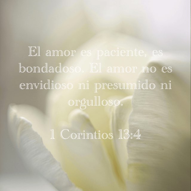 mariaakns's tweet photo. https://t.co/5qo07LEFvF