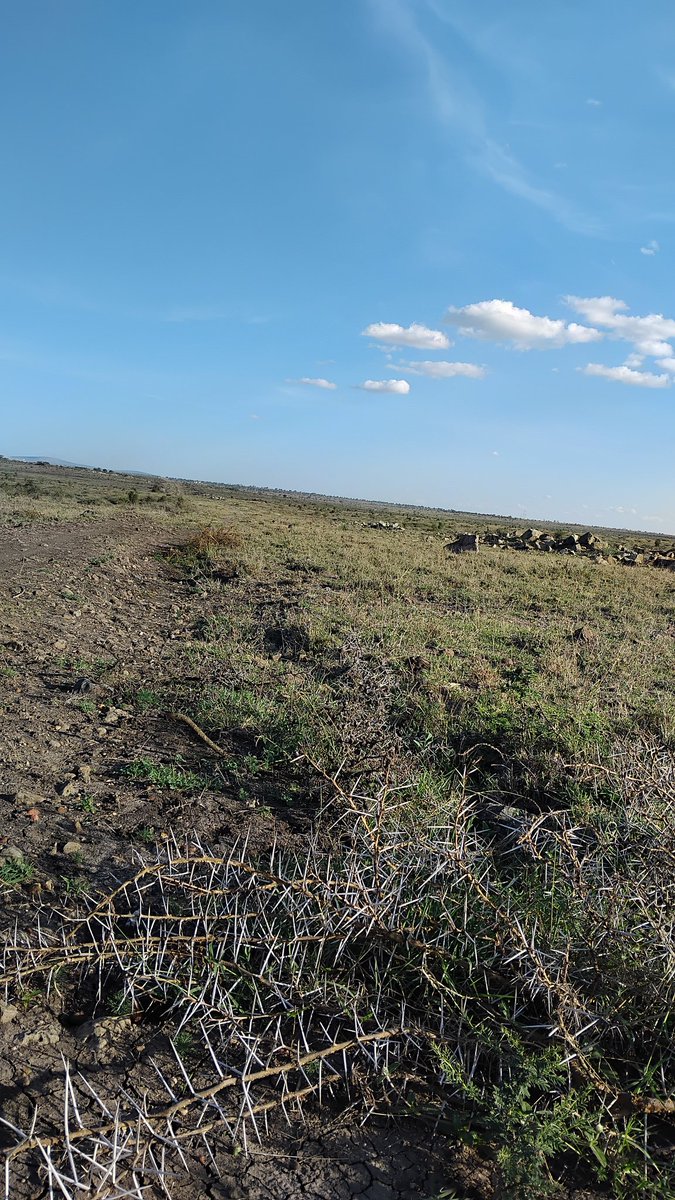 Kajiado is beautiful  jameni❤️👌