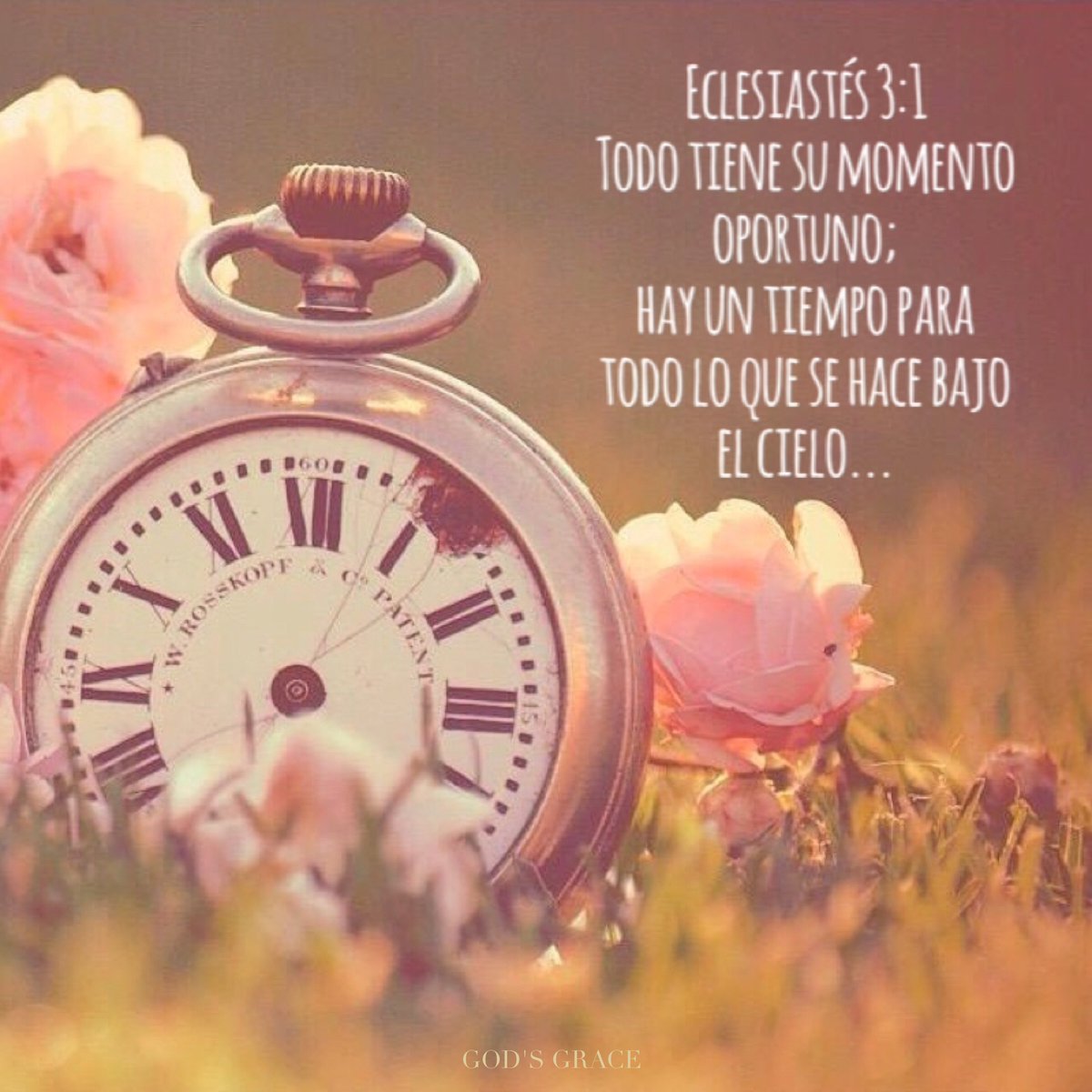 Todo tiene su momento oportuno; hay tiempo para todo lo que se hace bajo el cielo.
Eclesiastés 3:1
Que no nos gane la ansiedad, Dios tiene el tiempo oportuno, sigamos orando por nuestro milagro 🙏
