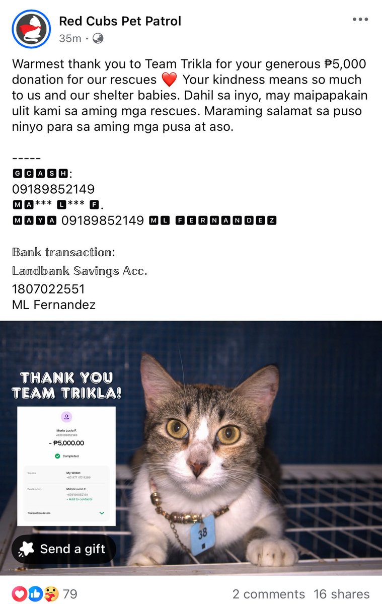 hey moots!

as we celebrate motmot, we’ve officially started our Tok-Pot (Tokyo and Potpot) Mission 🐾 here’s our first donation to Red Cubs Pet Patrol, hoping all their rescued cats and dogs sleep peacefully tonight with full tummies.

thank you so much for your donations! this