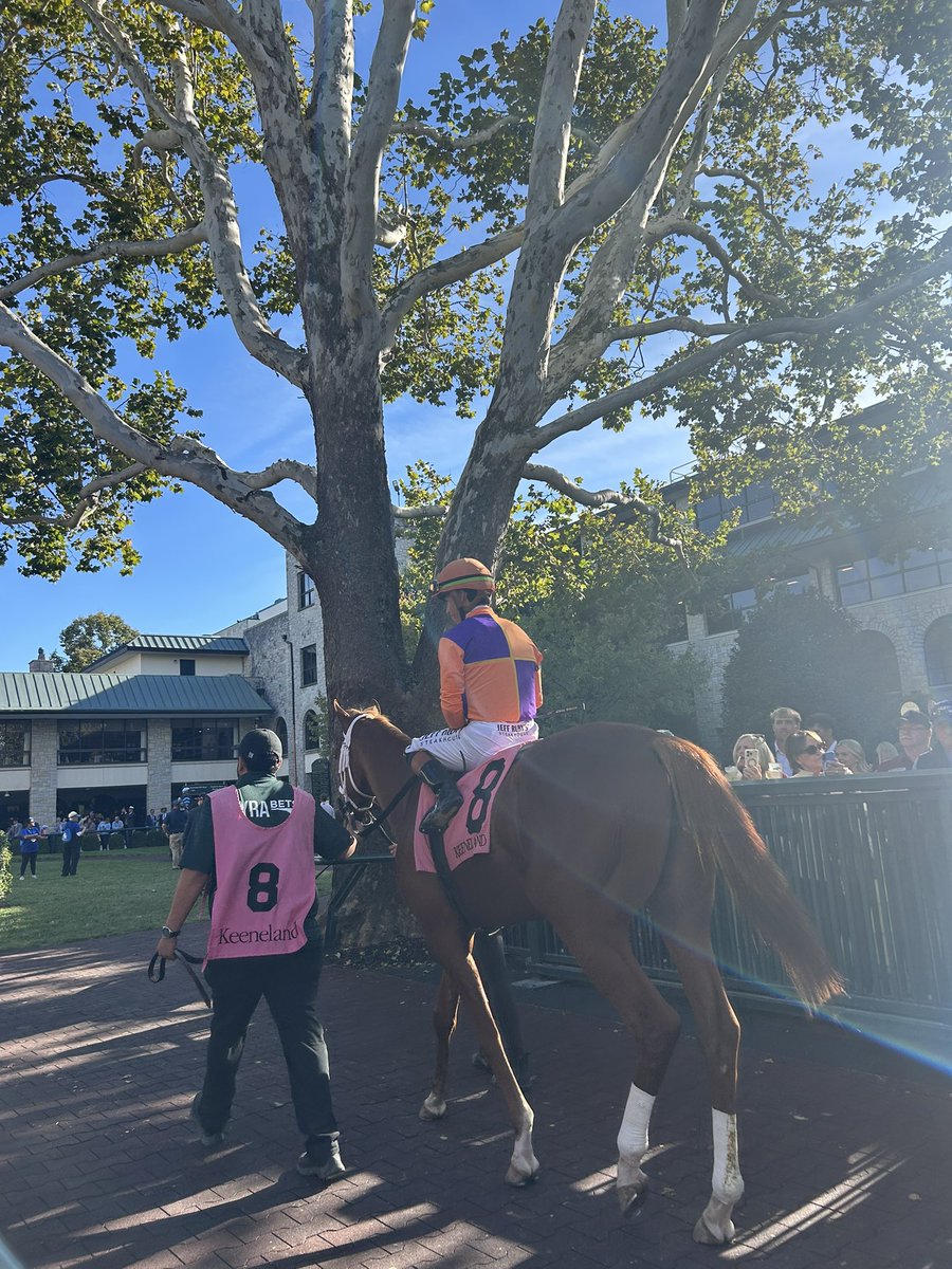 Laurel H-S🏇 tweet media