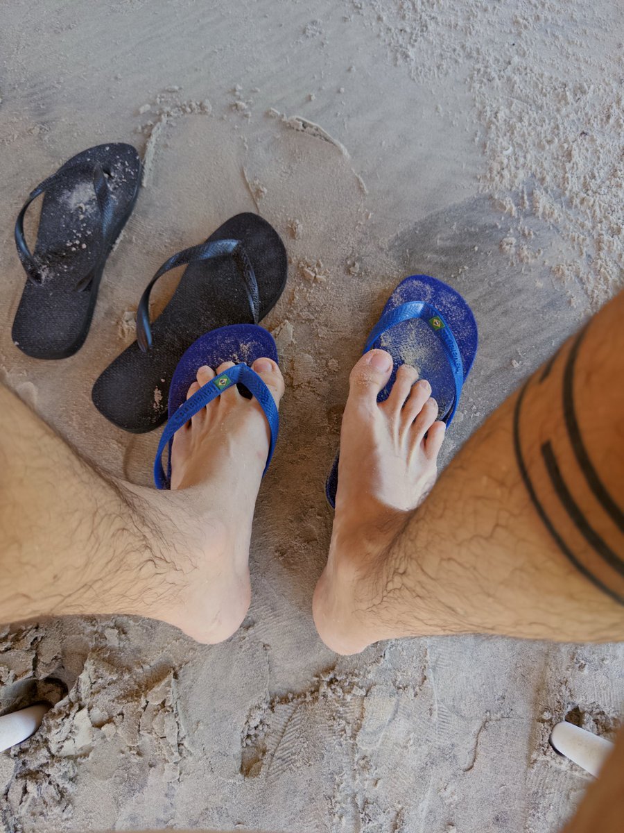 tomzrdrgs's tweet image. 