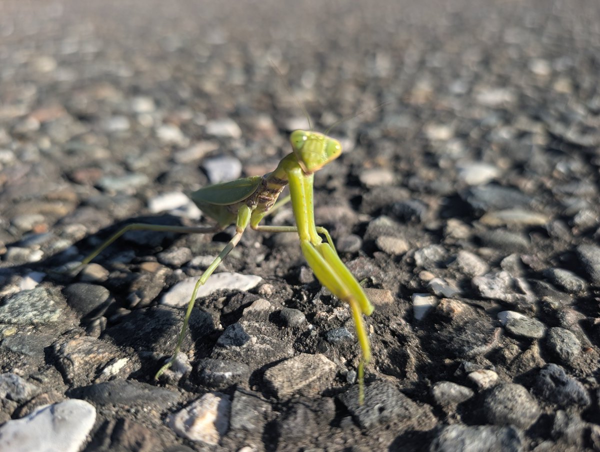 Дмитрий Жуков tweet media