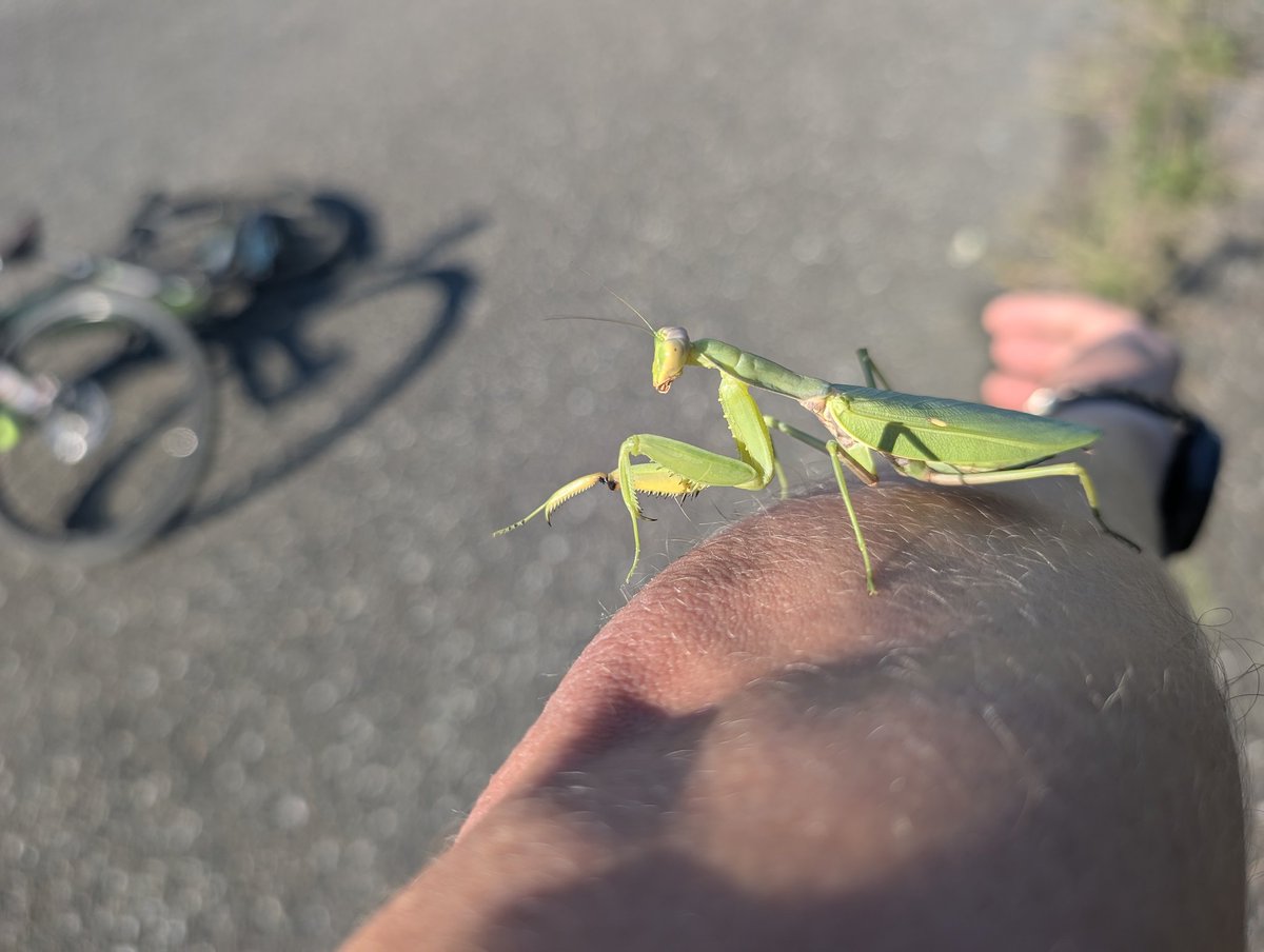 Дмитрий Жуков tweet media