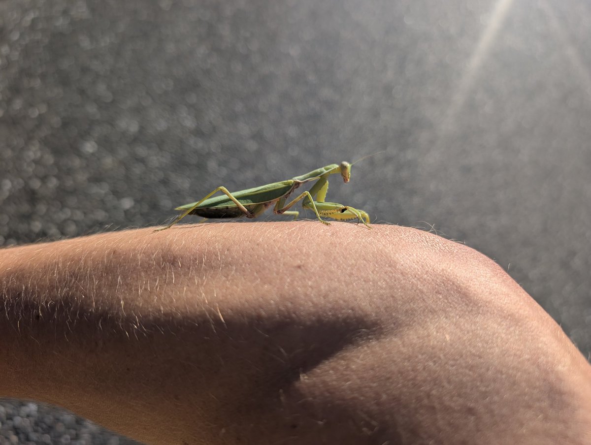 Дмитрий Жуков tweet media