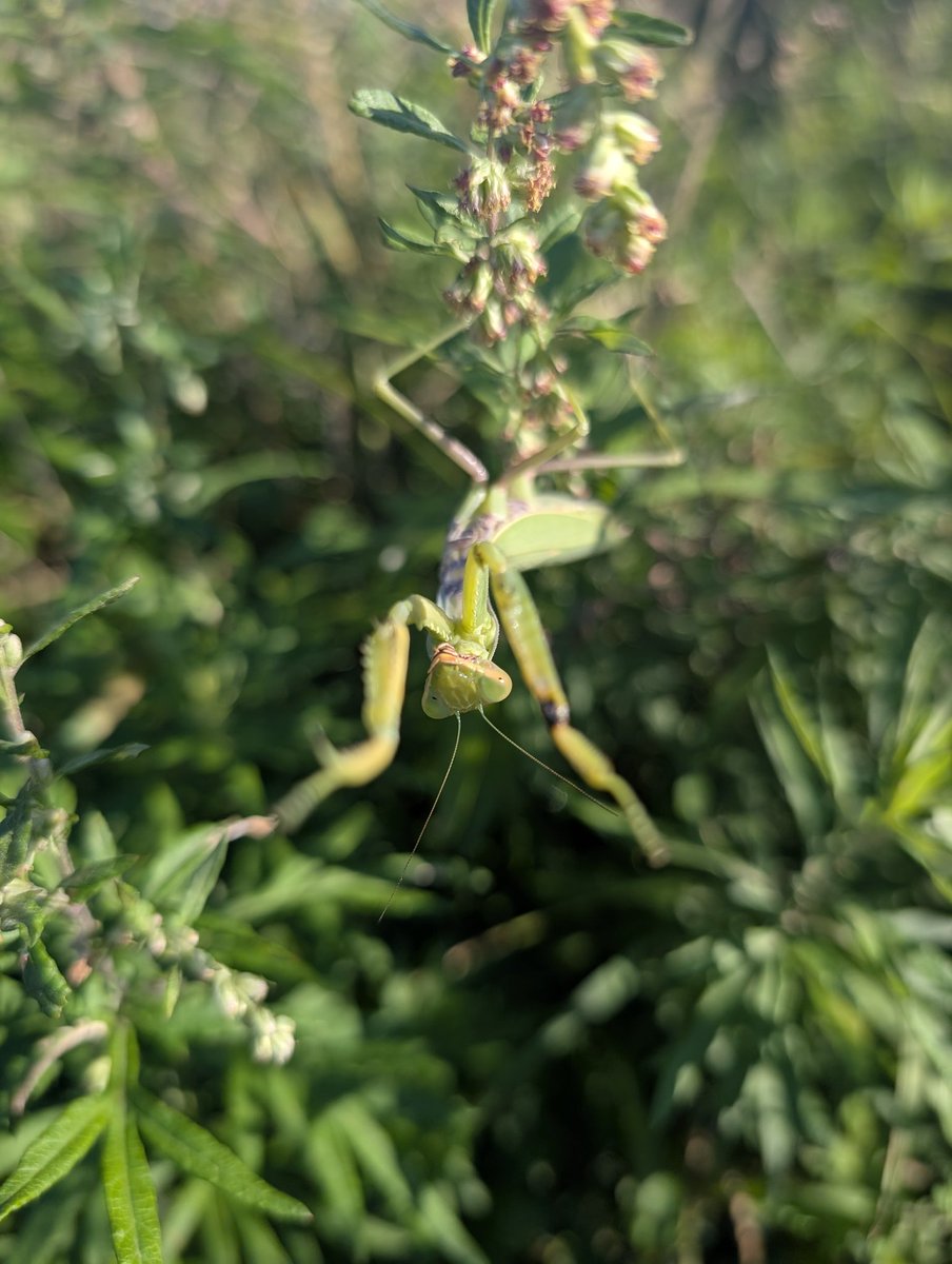 Дмитрий Жуков tweet media