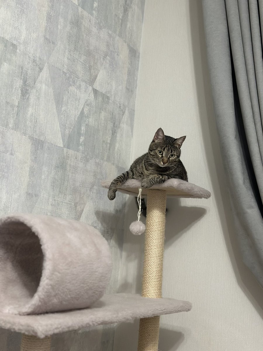 Sergen Selekler (Sir JK ) tweet media