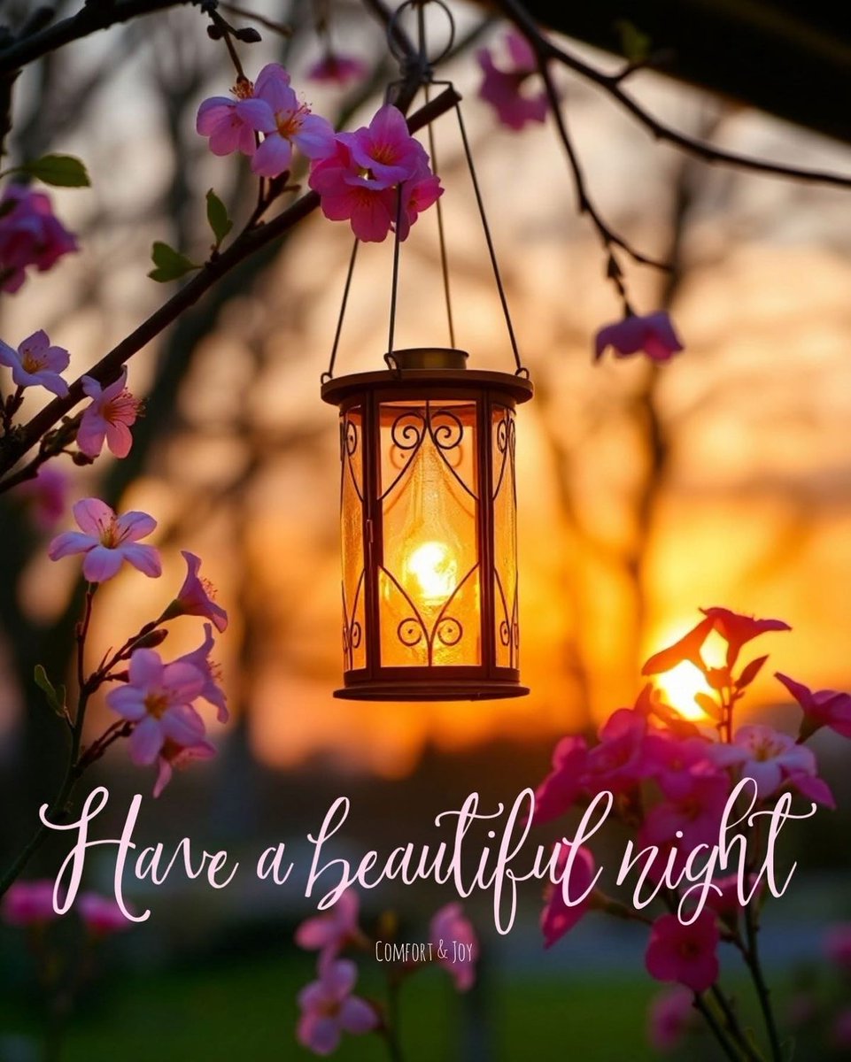 Buenos noches, descansemos y contemos nuestras bendiciones, y que las preocupaciones no nos roben la paz, ni la esperanza de mañana, Dios tiene el control de nuestras necesidades y todo tiene un tiempo bajo el cielo, créelo y oremos para que estemos cerquita de Dios. Amen