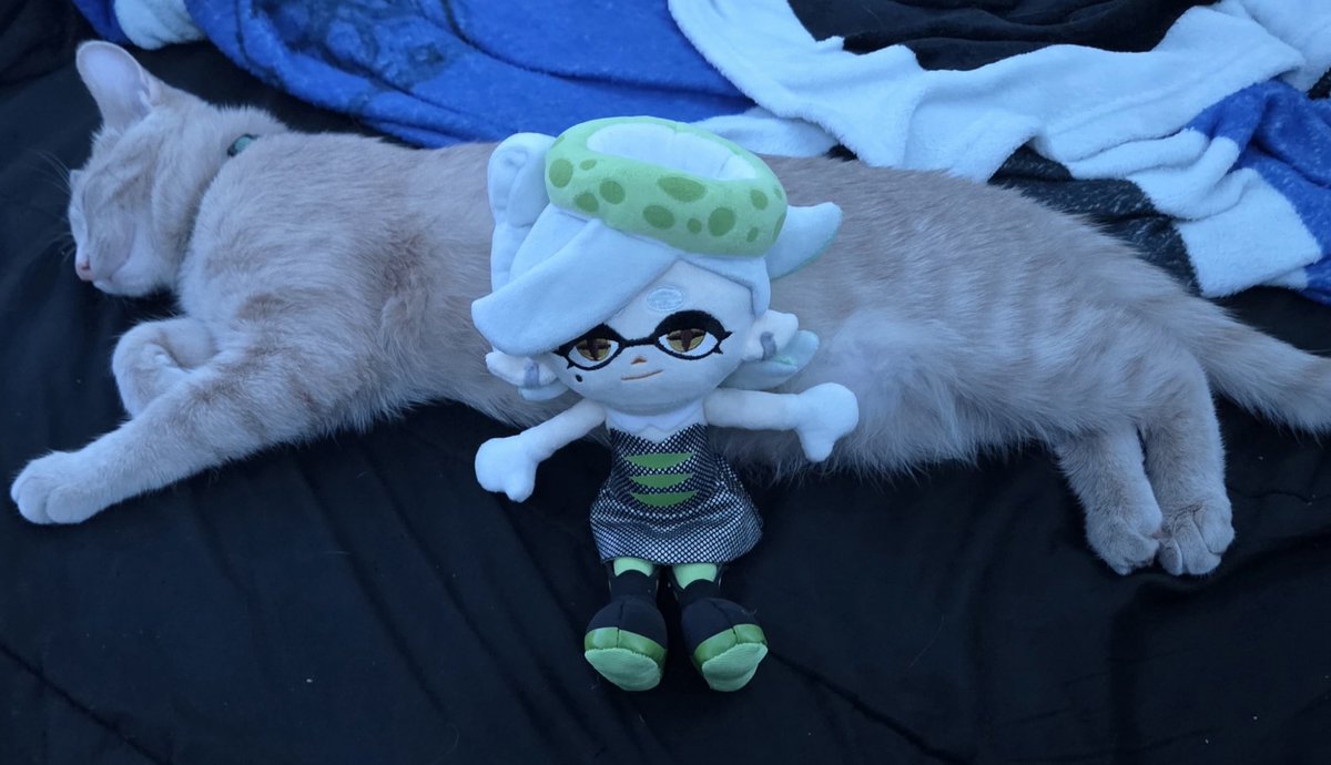 They grow up SO FAST...^^
💚💎🐱