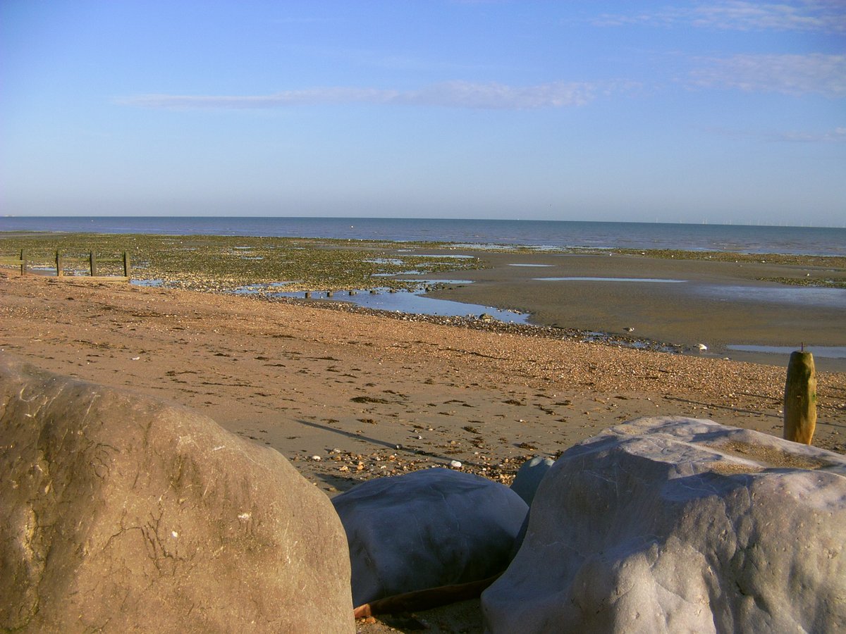 Teddy45825659's tweet photo. Feeling chilly, pals ... brrrr 🥶❄️ 

Who remembers the last hot day of summer? 😎 I took Lucky to Worthing! 🏖️ 

We won a pool-ball, playing cards and a squidgy ball on the pier. Then we sat on the beach and collected shells. 🐚 

I've been trying my paw at some drawing ... ✏️ https://t.co/FvMmeEjrWn