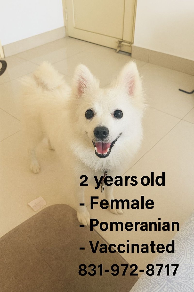 Bangalore Adoption