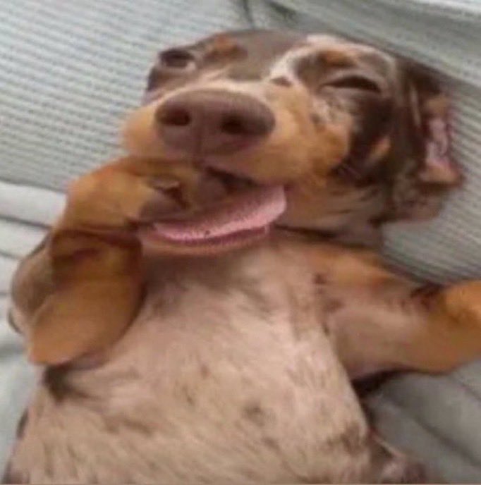 quando você combina de fazer algo com alguém mas perto do dia começa a sentir um ranço descomunal por ela e não sabe como desmarcar