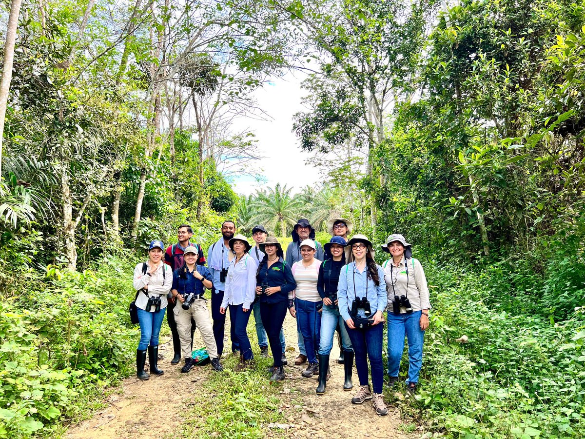 Fedepalma tweet media