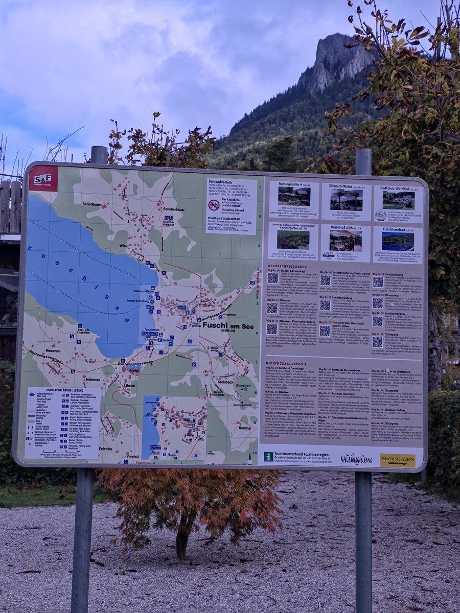 Mary Muthee tweet media