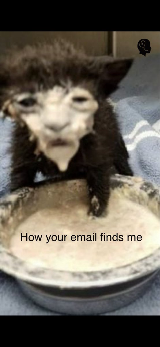 Breaking Taboo tweet media