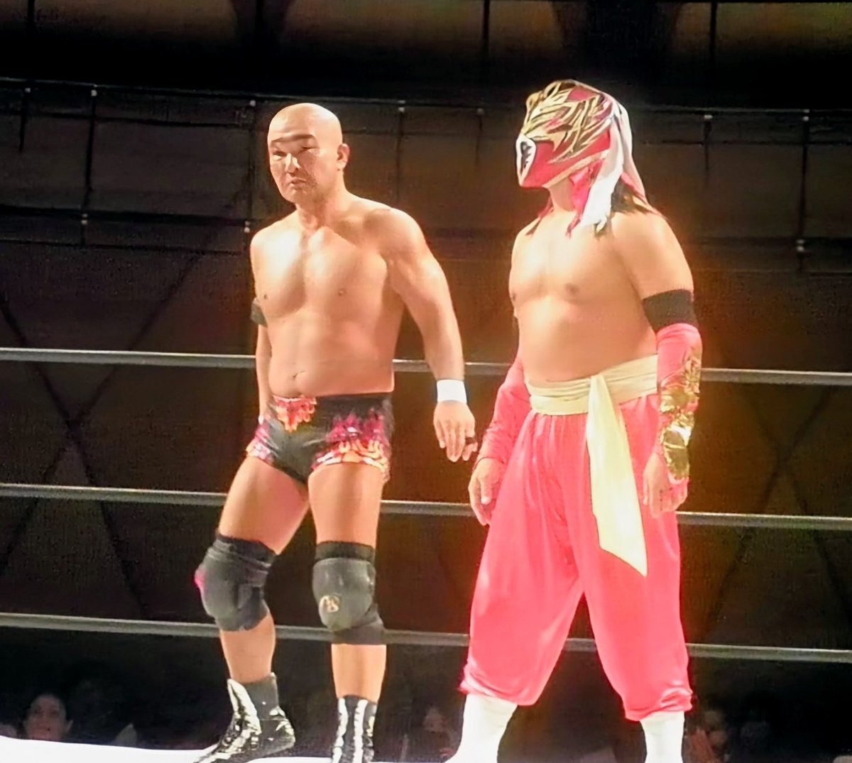 T43119T's tweet image. 2025   10.11 
プロレスリングZERO1
新生ゼロワン初大阪大会
田中将斗選手
ハヤブサ選手
俺からしたら夢のタッグチームやなあ
まさかまた見れると😭
20代の頃思い出す
#pwzero1 
#ハヤブサ 選手
#田中将斗 選手
#プロレスリングZERO1