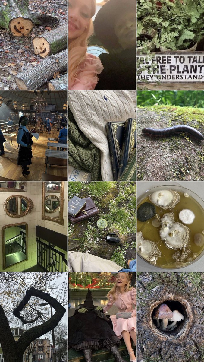 itsosadly's tweet image. ୭ ˚. modern day elphaba thropp on instagram: a mini thread ᵎᵎˎˊ˗