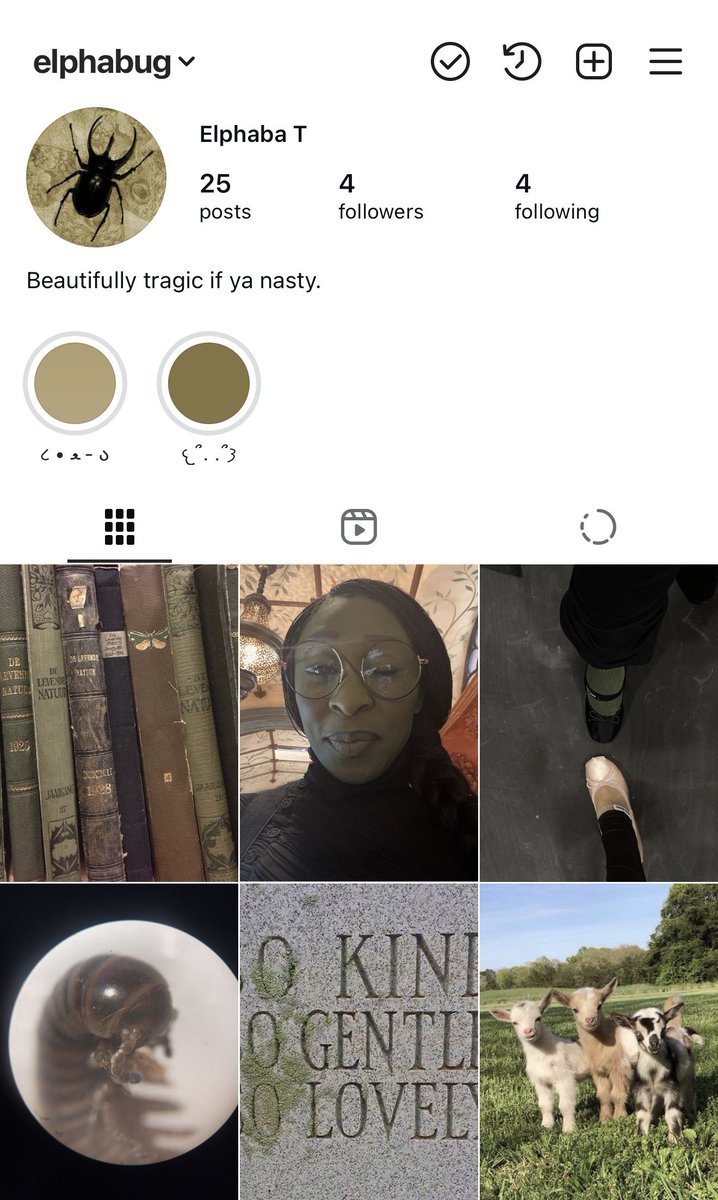 itsosadly's tweet image. ୭ ˚. modern day elphaba thropp on instagram: a mini thread ᵎᵎˎˊ˗