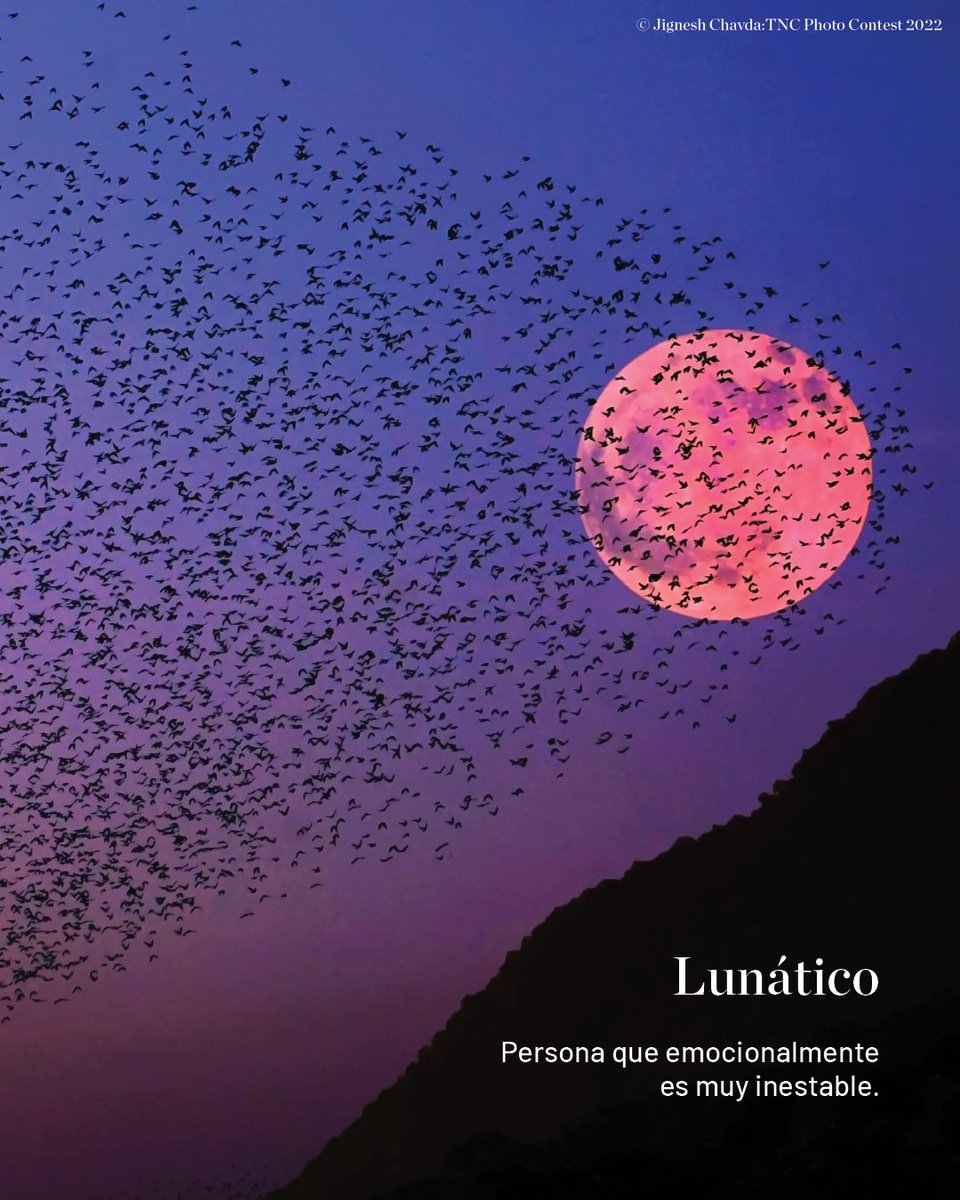Desde frases que fluyen como ríos hasta expresiones que florecen como árboles, nuestro lenguaje está lleno de vida. 

💬 ¿Se te ocurre alguna palabra o frase que haya brotado de la naturaleza? ¡Compártela en las respuestas!🌿
