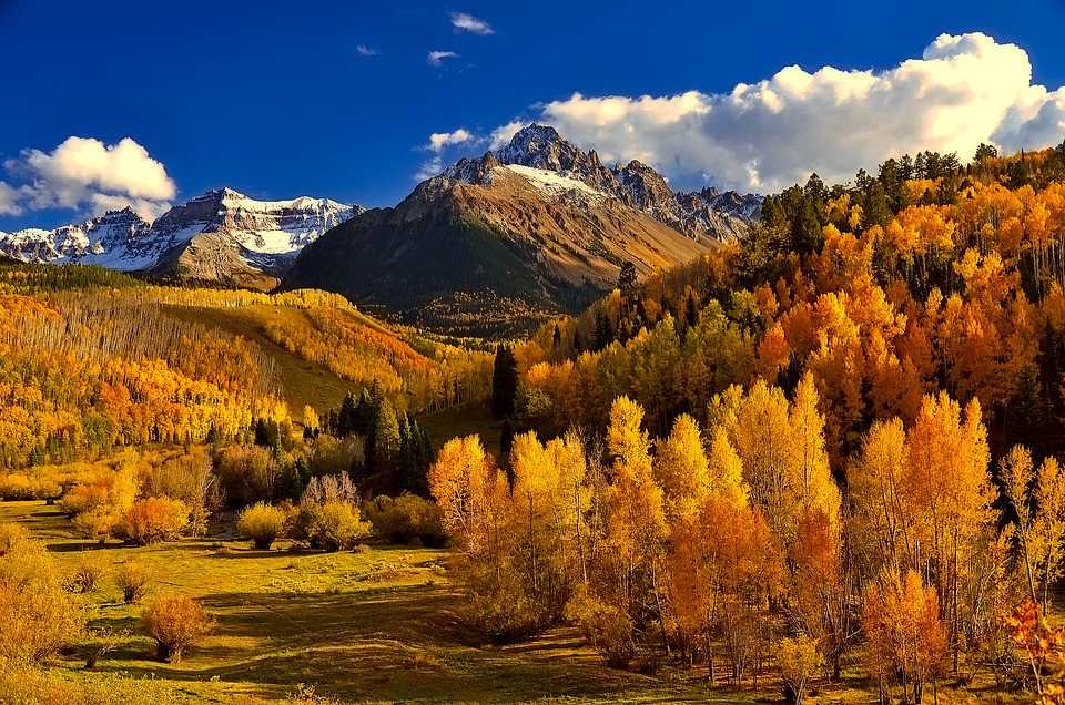 Autumn in the Back Country, Colorado!🤩