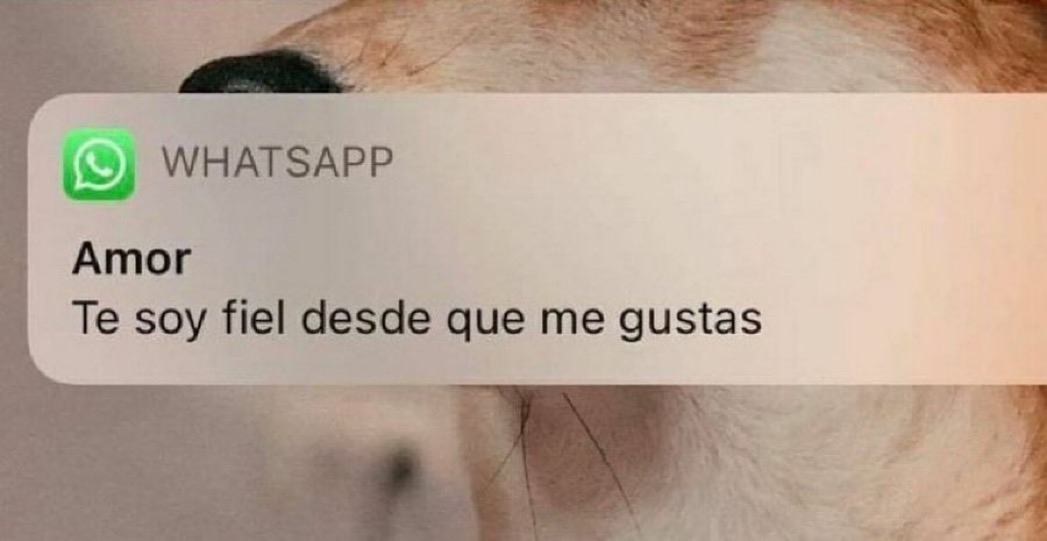 Guarromantico_'s tweet image. Yo en el amor: