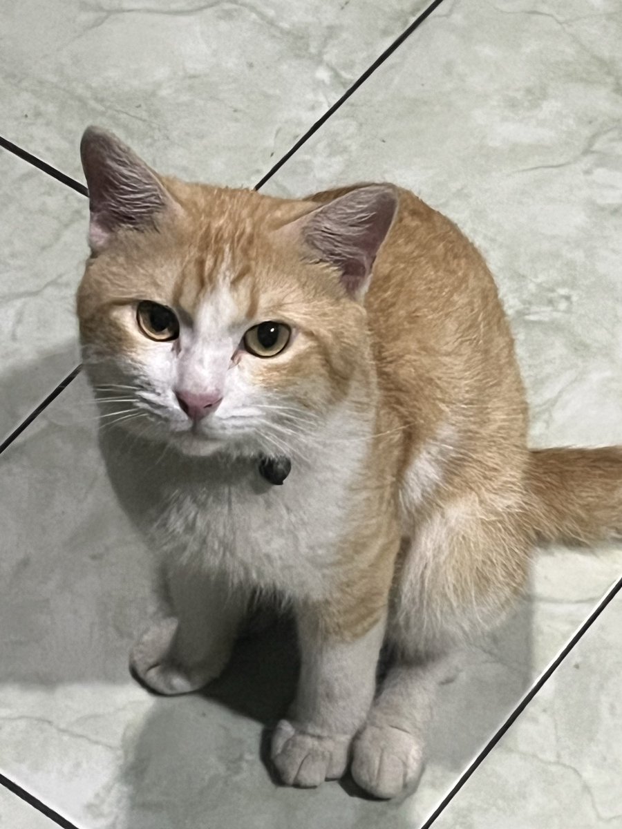 fnyarraya's tweet photo. anak siapa lucu banget? https://t.co/zFUzWa8Yft