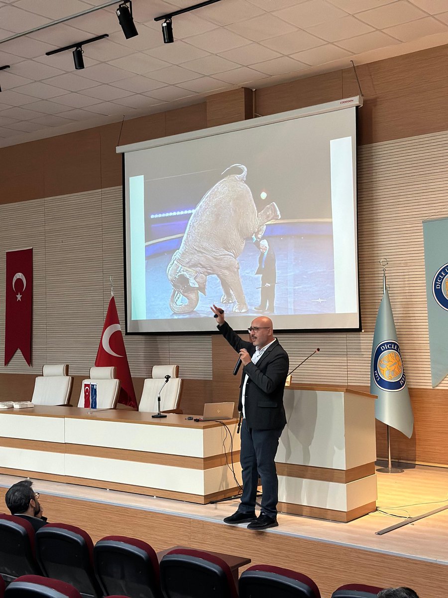 Düşünce Ve Hareket Kulübü tweet media