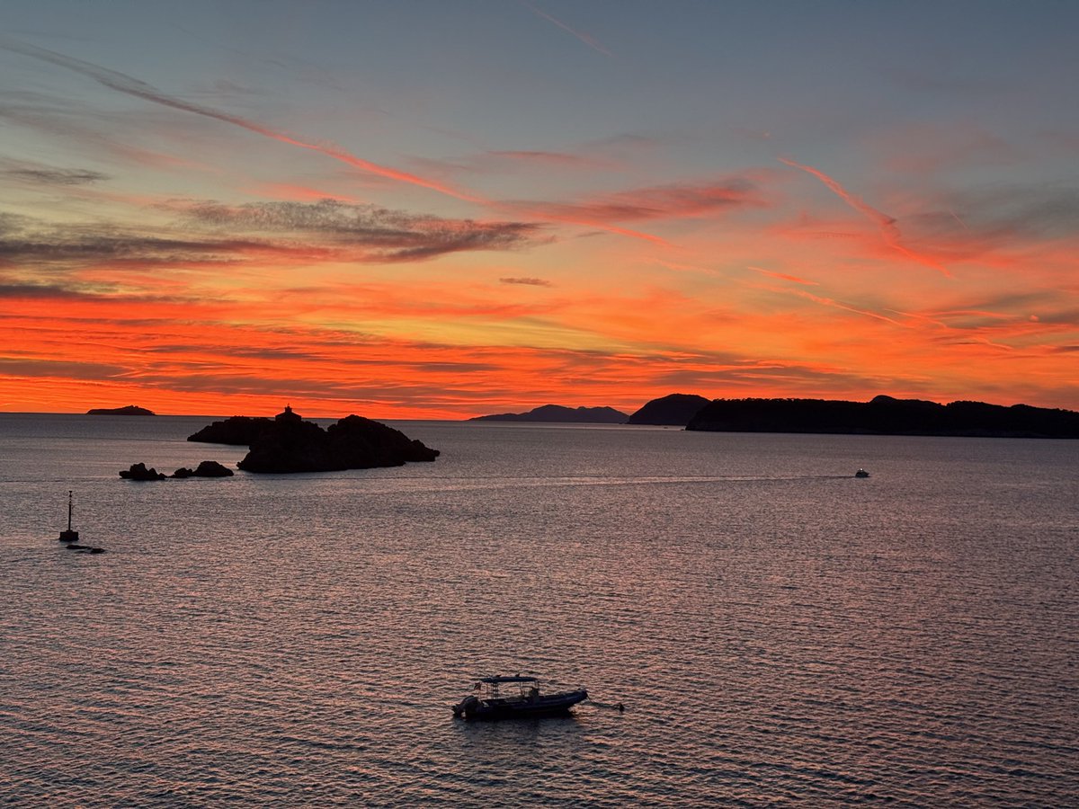 Rob Taylor tweet media