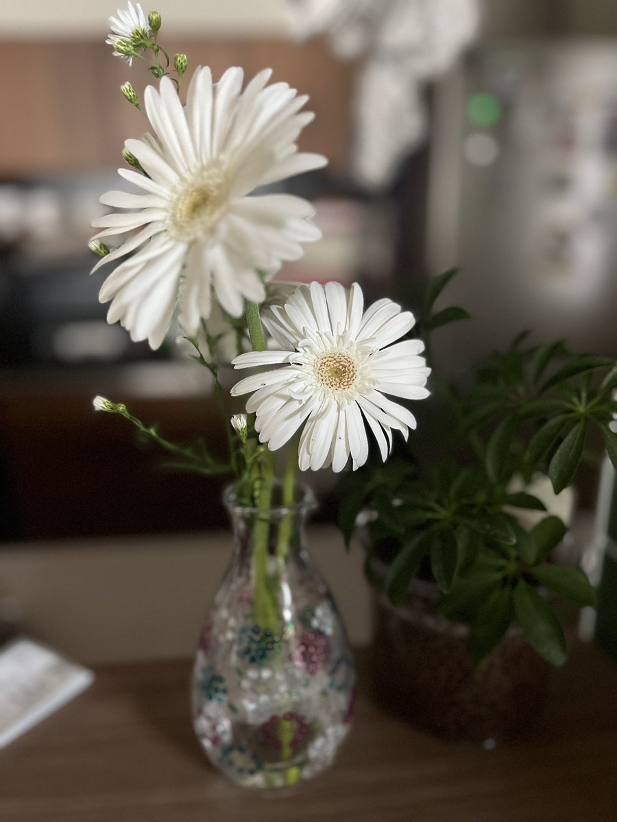 ガベ　うまく撮れない