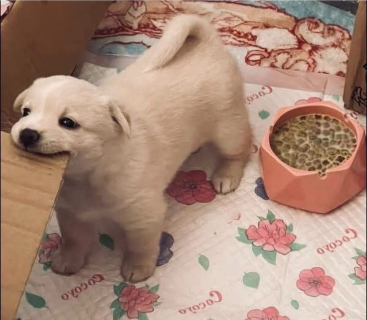 tattoos i would get if i had money (@twtpictures) on Twitter photo 