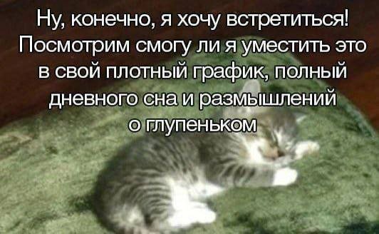 catsilcats's tweet photo. https://t.co/gmDjJPSJUr