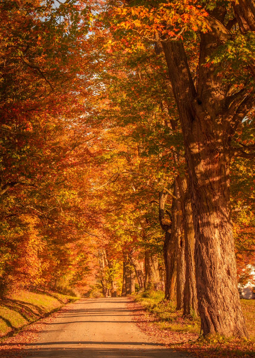 Vermont back roads in fall remain undefeated
