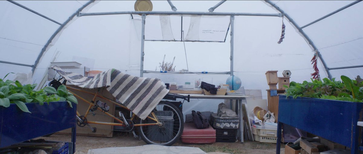 pabliÑo el Tax Courier tweet media