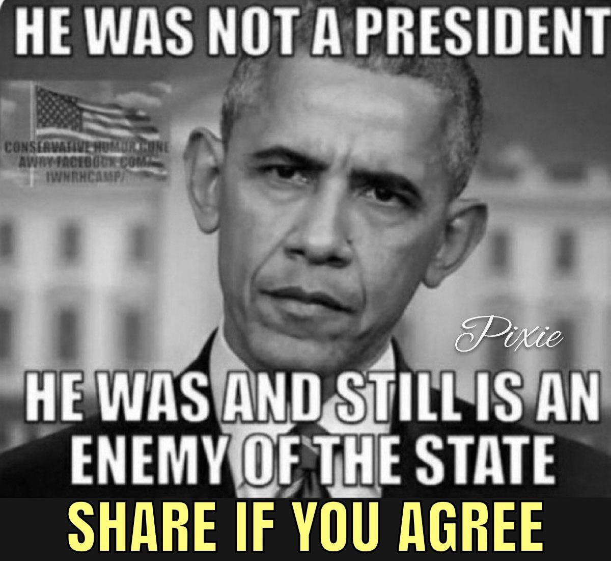 Pixie1z's tweet image. Obama never was a legitimate president. He was a manchurian candidate designed to destroy America.