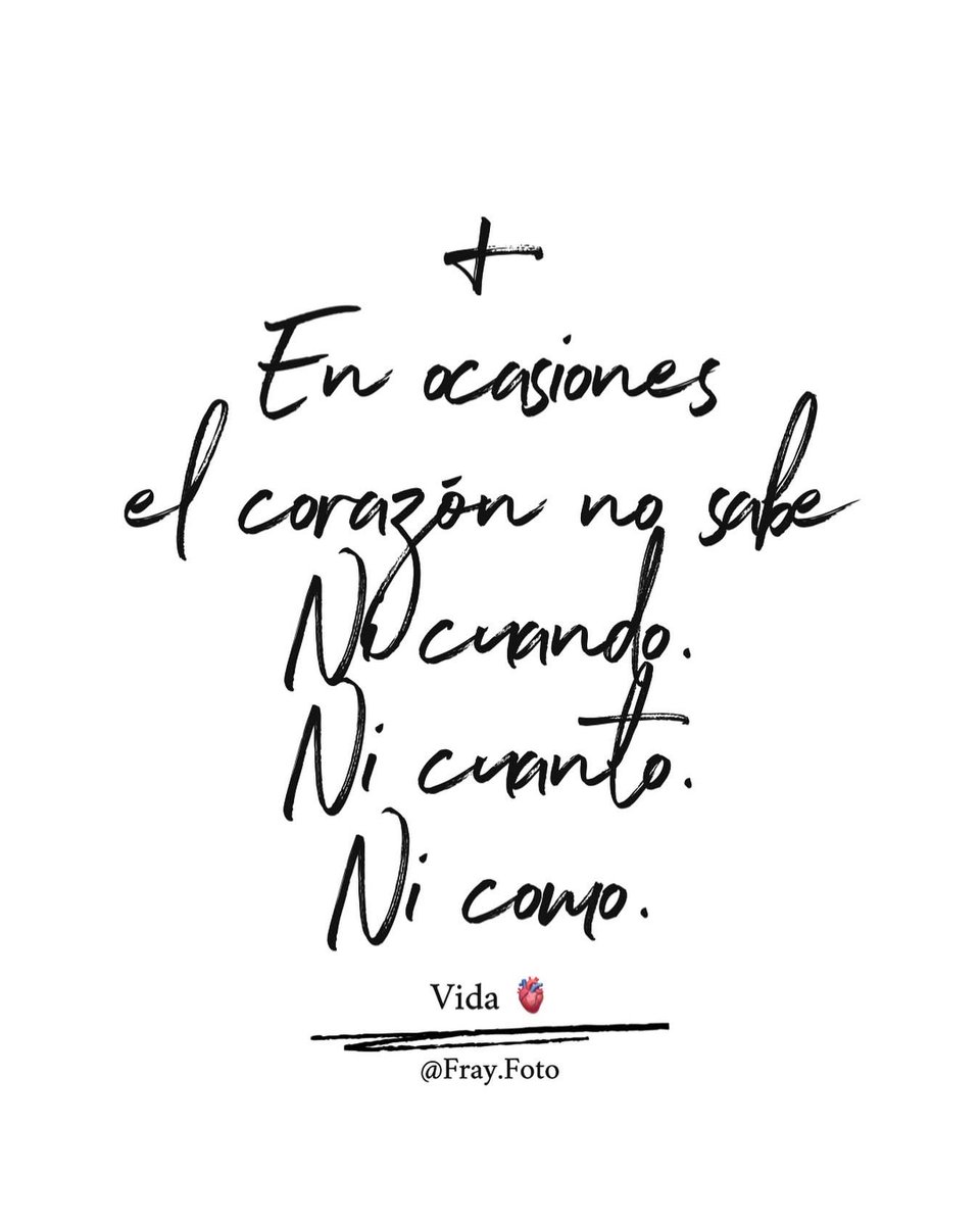 Fray Foto tweet media