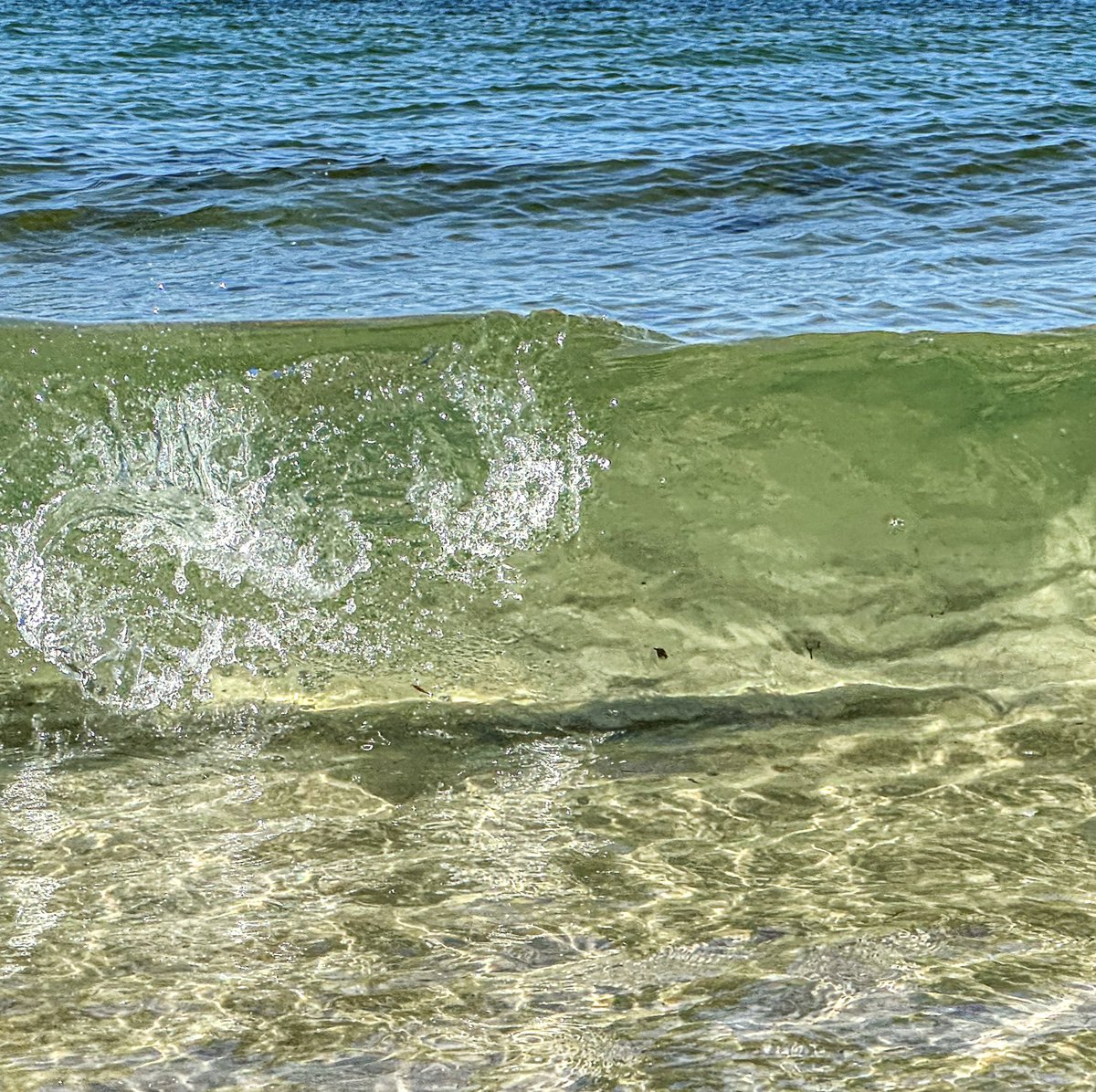 lightand_life's tweet image. Oh my goodness, the water was warm  on the toes, sun-kissed in beauty, and sooo relaxing to listen to this morning!!
#capecod #lovewhereyoulive