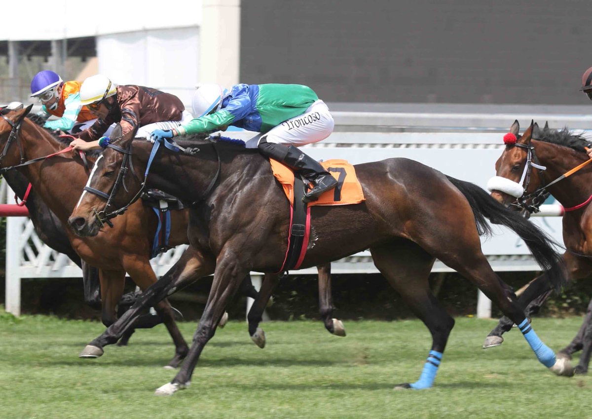 Sandía 🍉🇨🇱 (Imperia II en Cálmate por Magician 🇮🇪), generó presión en todo momento y al final fue más, para ganar, en la Condicional, en la carrera #4 del <a href="/ClubHipico_Stgo/">ClubHipico_Stgo</a> #10Oct, e hizo tiempo  ⏱️ de: 1’09”06 (1600). Montó, Benjamín Troncoso y entrenó, Rodrigo Sánchez
📸 : FO