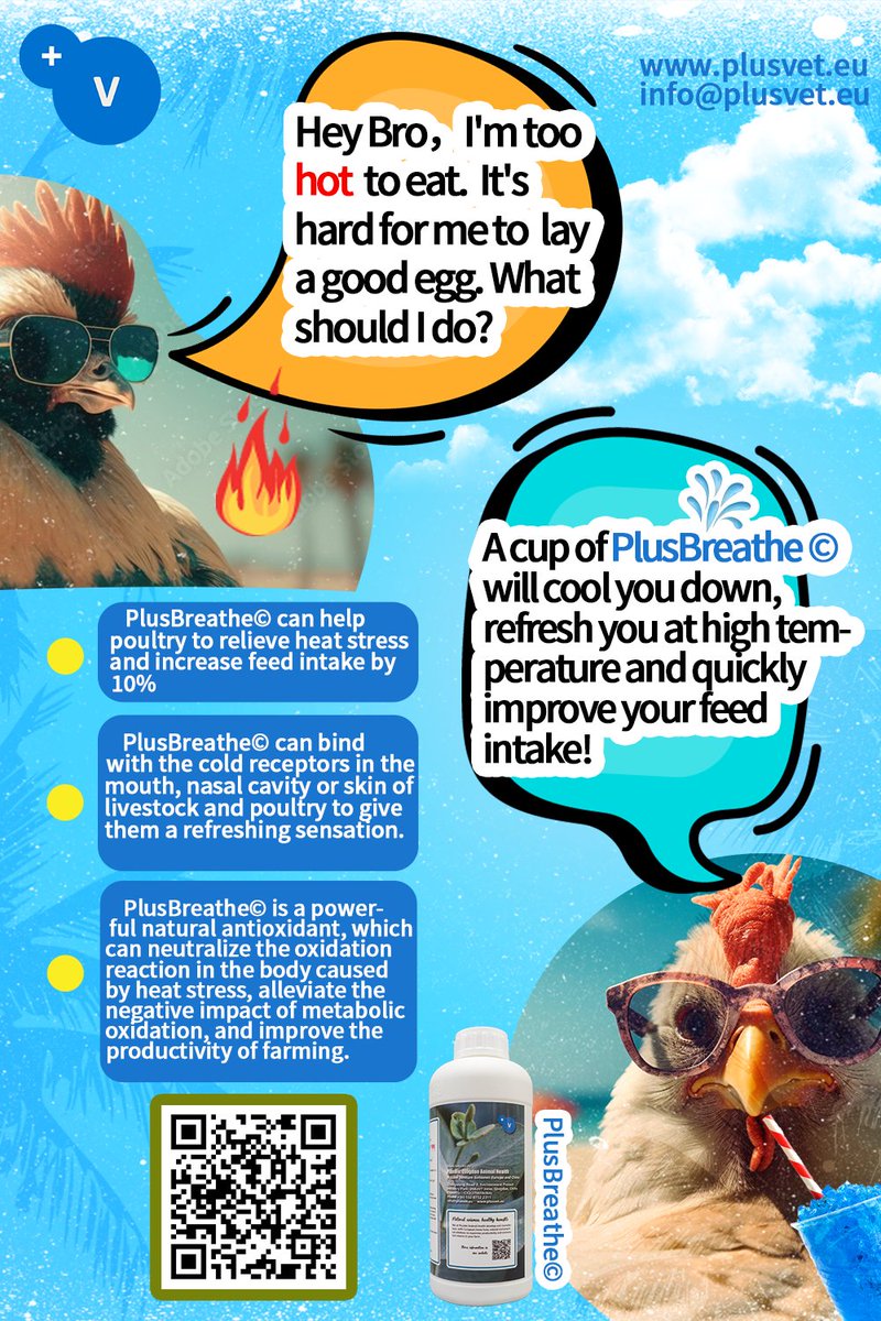 PlusVetAnimalH's tweet image. Beat the Heat with PlusBreathe!

PlusBreathe helps birds stay cool, calm, and productive even in extreme temperatures. 

#plusvetanimalhealth #phytogenics #poultry