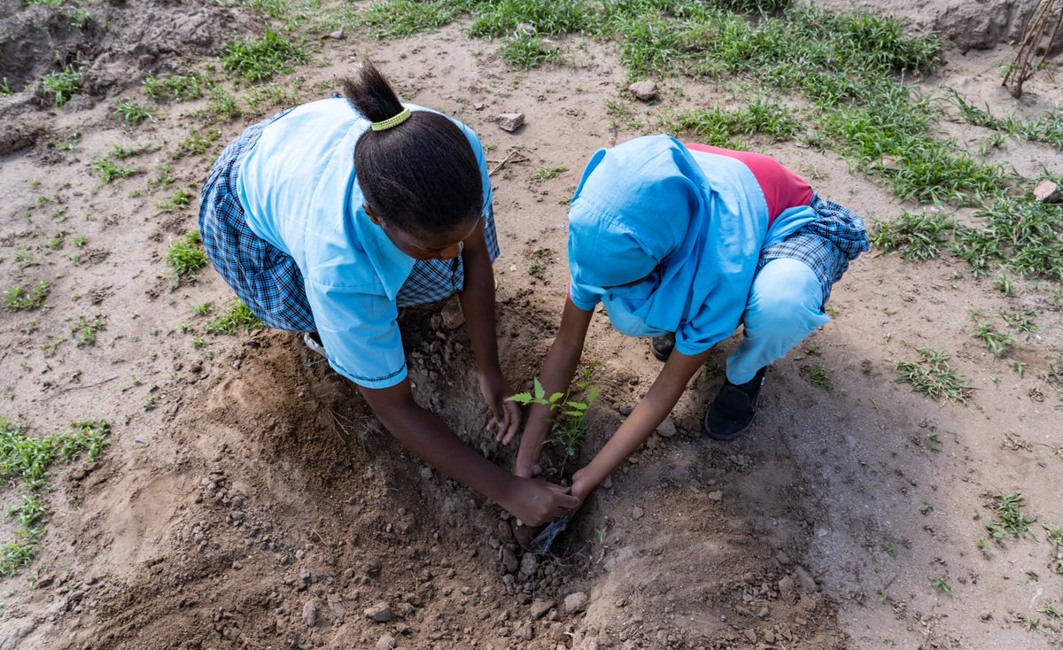 #InternationalDayOfTheGirl...Through interactive radio discussions, drama listening clubs, and community call-to-action events, we have amplified marginalized voices, challenged harmful gender norms, and inspired collective action to address issues like child marriage, early