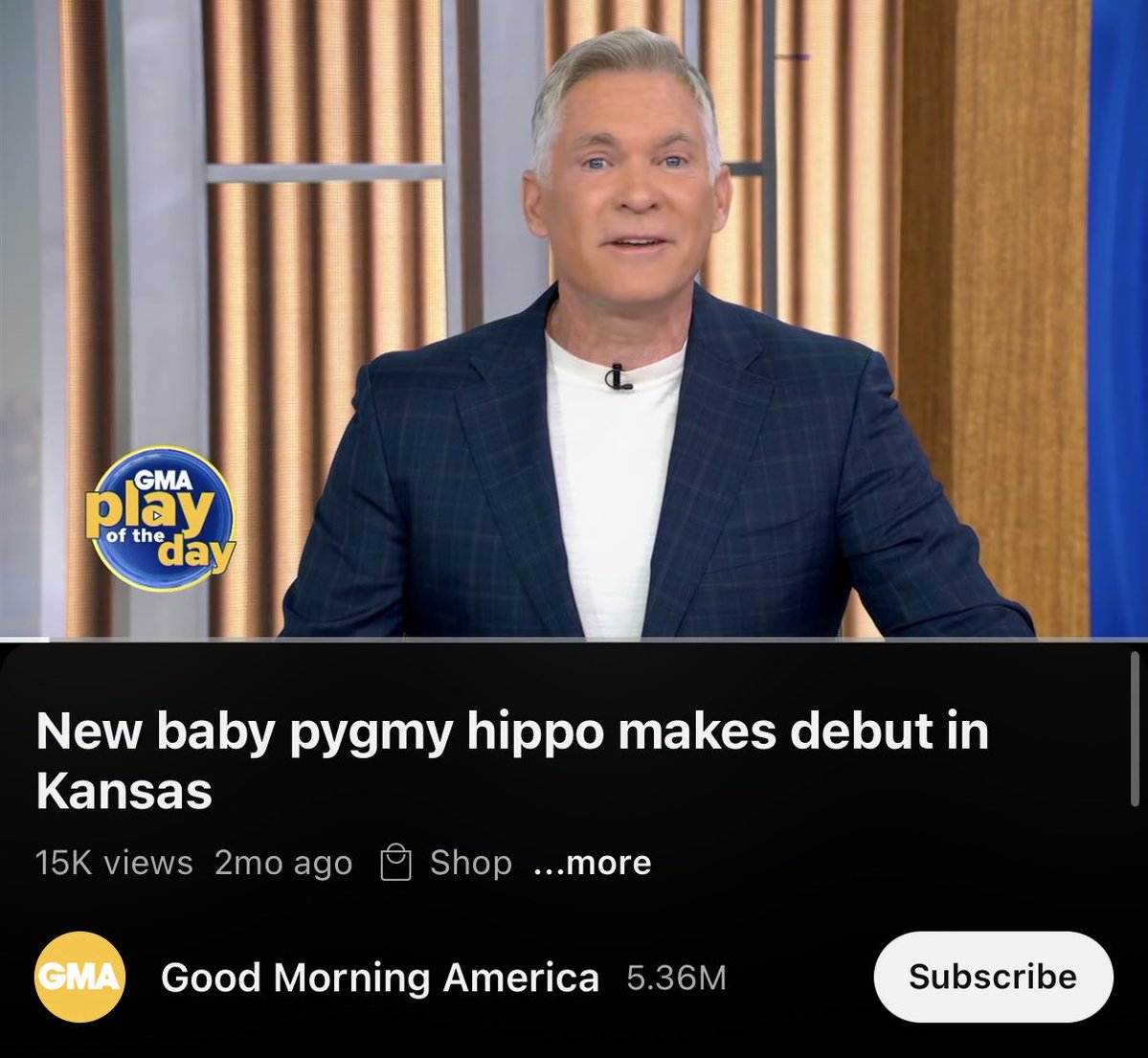 CC (@reeznation) on Twitter photo Mars the hippo has been featured on:
<a href="/GMA/">Good Morning America</a>
<a href="/nglwithkylie/">Not Gonna Lie with Kylie Kelce</a>
<a href="/NBCNewsWorld/">NBC News World</a>
<a href="/enews/">E! News</a>
<a href="/TODAYshow/">TODAY</a>
<a href="/NatGeo/">National Geographic</a>
Has nearly 2m followers on TikTok and IG
You think the normies aren’t coming?
Still early..<a href="/MarsPygmy_/">Mars</a> Mars the hippo has been featured on:
<a href="/GMA/">Good Morning America</a>
<a href="/nglwithkylie/">Not Gonna Lie with Kylie Kelce</a>
<a href="/NBCNewsWorld/">NBC News World</a>
<a href="/enews/">E! News</a>
<a href="/TODAYshow/">TODAY</a>
<a href="/NatGeo/">National Geographic</a>
Has nearly 2m followers on TikTok and IG
You think the normies aren’t coming?
Still early..<a href="/MarsPygmy_/">Mars</a>