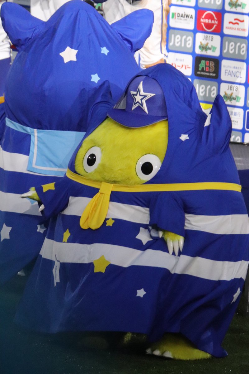 xydb_dena31's tweet image. チャピーさん雨でもご機嫌だった✨
#チャピー
#baystars
#CSファーストステージ2025
2025/10/11