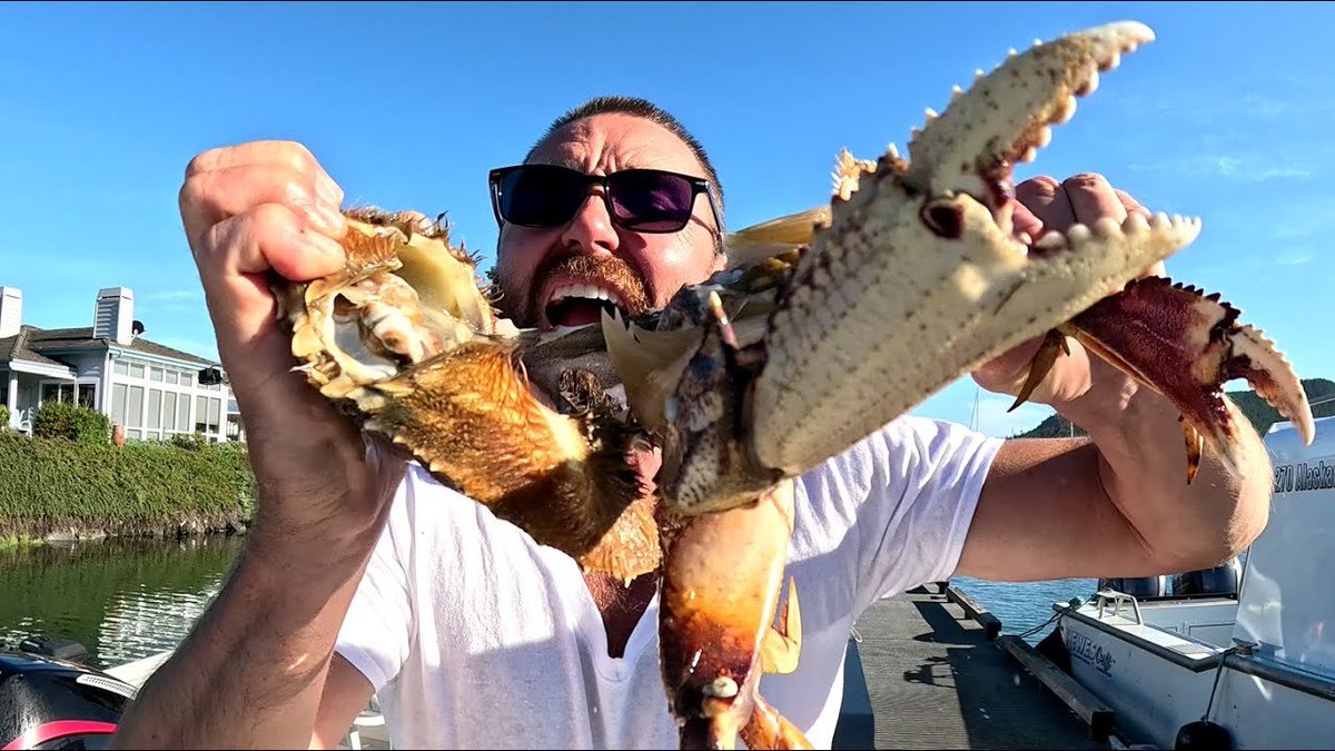 WildBitesEarth's tweet photo. Dungeness Crab Catch n Cook

https://t.co/i4VYRoBpay

#crabbing #DungenessCrab #CatchAndCook https://t.co/4exr0i7KOH