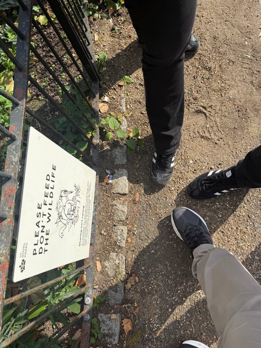 BitcoinWalkOrg's tweet image. Please don’t feed the wildlife. Nature doesn’t need it like the free market doesn’t need to be regulated.
#ProofOfWalk from #london 🇬🇧
bitcoinwalk.org/london