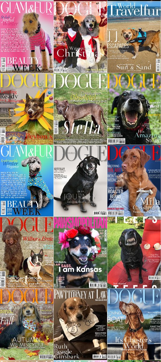 PetMagCovers's tweet image. Celebrating THREE YEARS! 🥳
Thank you for your Support!

Special Thanks to @Waffles_ShihPoo , @GraciesWorld3 , @Pomchi_Puppy , @chicathechih ,  @TheHerdHouse , @servicerotties , @CustomPetSongs , @sarahanunn , @SarahMLdnEnBr2 &amp;amp; Everyone that contributed with photos and donations.