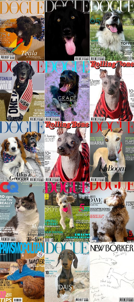 PetMagCovers's tweet image. Celebrating THREE YEARS! 🥳
Thank you for your Support!

Special Thanks to @Waffles_ShihPoo , @GraciesWorld3 , @Pomchi_Puppy , @chicathechih ,  @TheHerdHouse , @servicerotties , @CustomPetSongs , @sarahanunn , @SarahMLdnEnBr2 &amp;amp; Everyone that contributed with photos and donations.