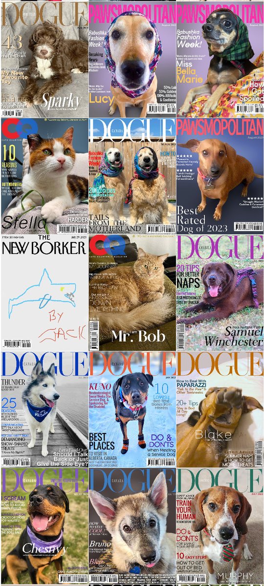 PetMagCovers's tweet image. Celebrating THREE YEARS! 🥳
Thank you for your Support!

Special Thanks to @Waffles_ShihPoo , @GraciesWorld3 , @Pomchi_Puppy , @chicathechih ,  @TheHerdHouse , @servicerotties , @CustomPetSongs , @sarahanunn , @SarahMLdnEnBr2 &amp;amp; Everyone that contributed with photos and donations.
