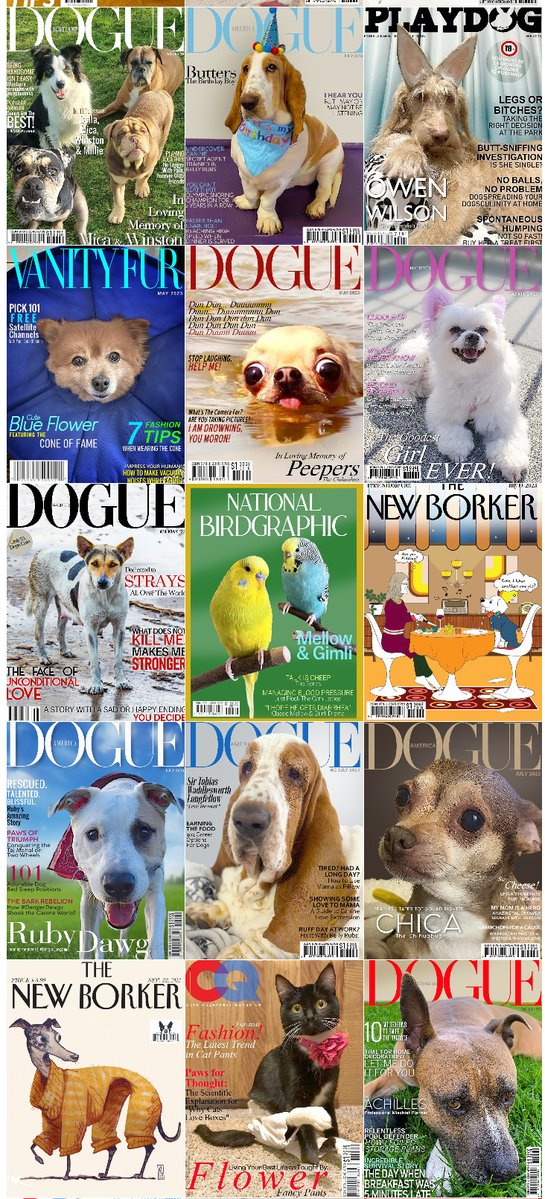 PetMagCovers's tweet image. Celebrating THREE YEARS! 🥳
Thank you for your Support!

Special Thanks to @Waffles_ShihPoo , @GraciesWorld3 , @Pomchi_Puppy , @chicathechih ,  @TheHerdHouse , @servicerotties , @CustomPetSongs , @sarahanunn , @SarahMLdnEnBr2 &amp;amp; Everyone that contributed with photos and donations.