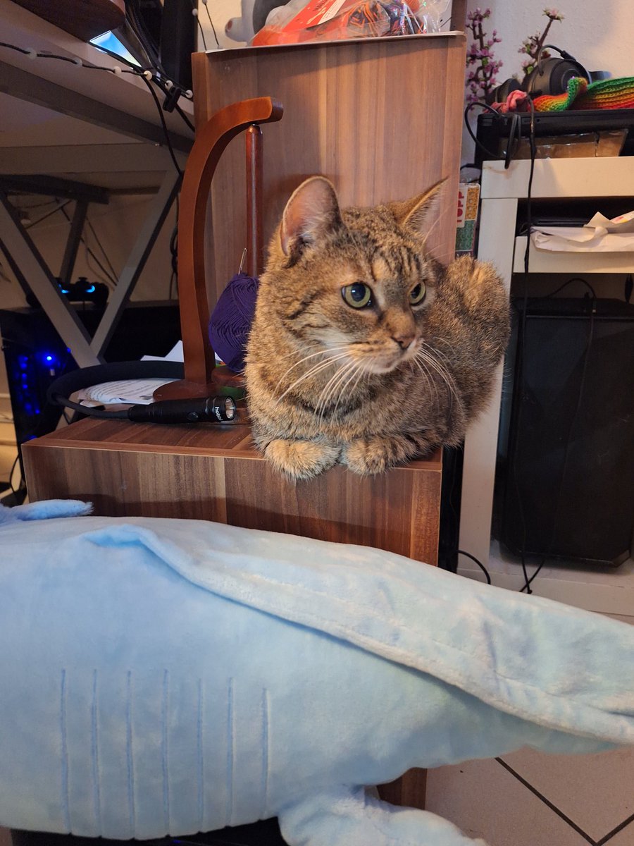 My old lady is doing the thing