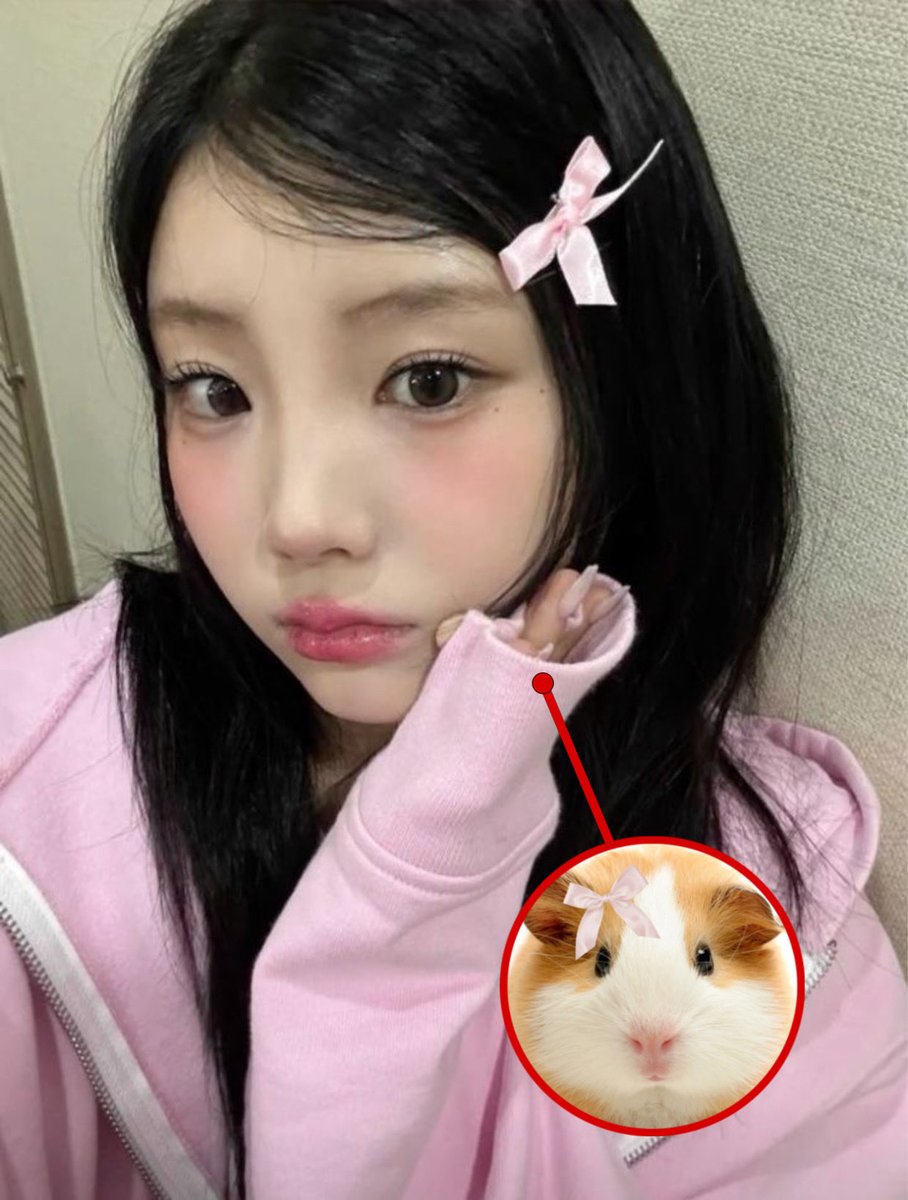 🎀🐹